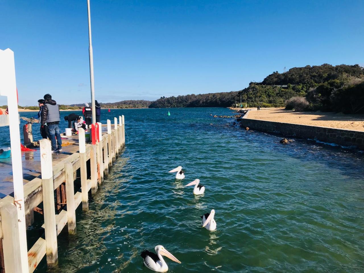 Black Swan Motor Inn Lakes Entrance Exteriér fotografie